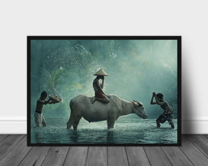 Water buffalo poster - Plakatbar.no