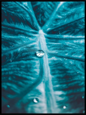 Water poster - Plakatbar.no