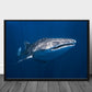 Whale shark poster - Plakatbar.no