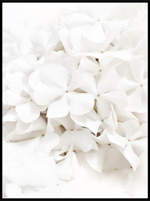 White Blossom - Poster - Plakatbar.no