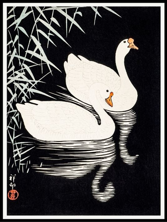 White Chinese Geese Swimming, Ohara Koson- Plakat
