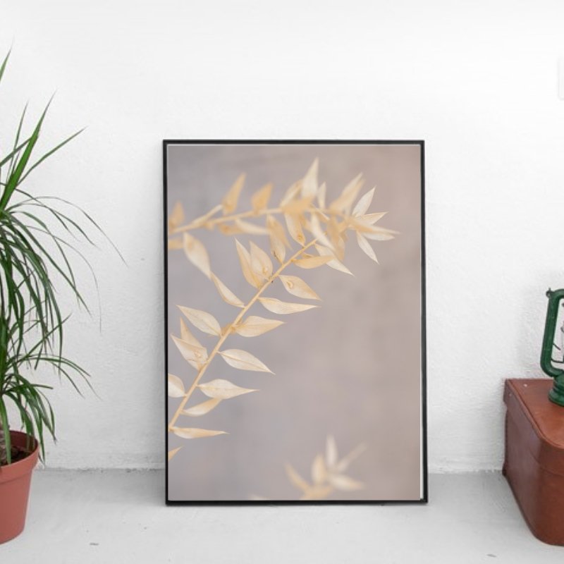 White dried flowers - Poster - Plakatbar.no