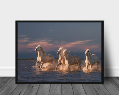 White horses poster - Plakatbar.no