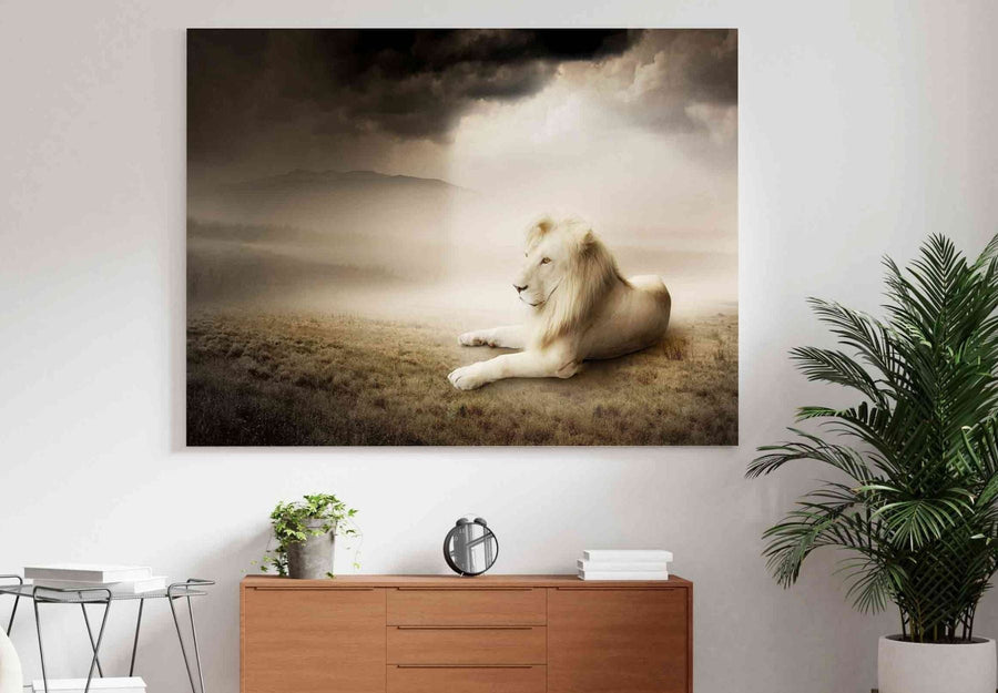 White lion at sunset