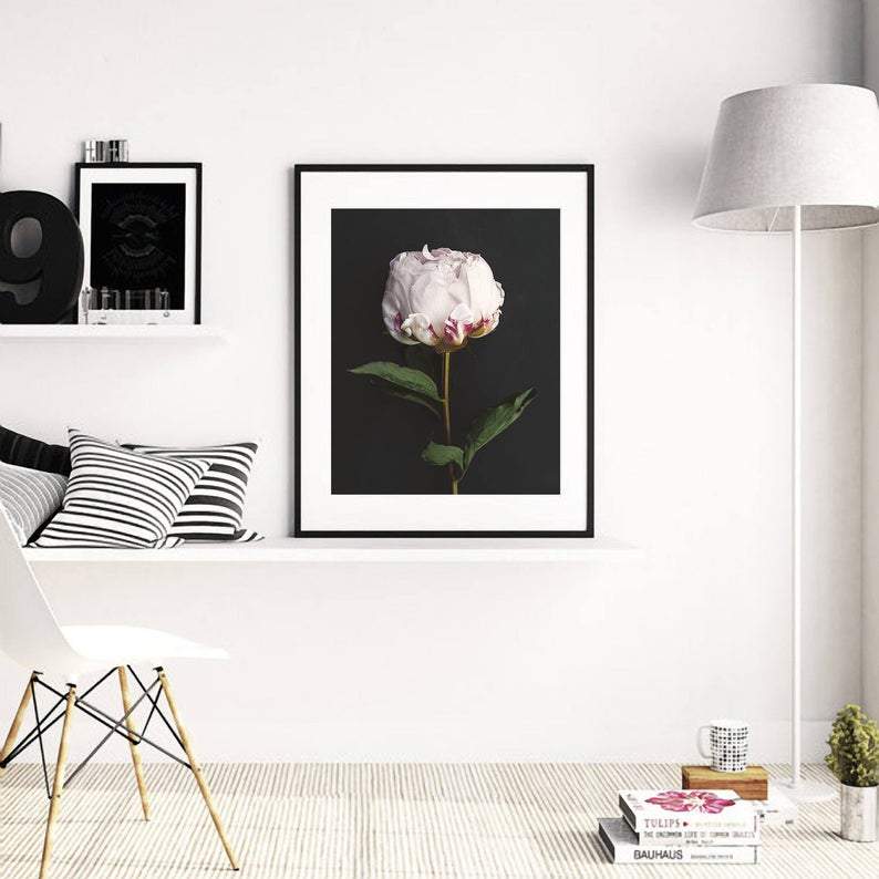 White Peony Poster - Plakatbar.no