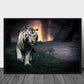White tiger poster - Plakatbar.no