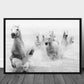 Wild horses in Camargue poster - Plakatbar.no