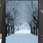 Winter alley poster - Plakatbar.no