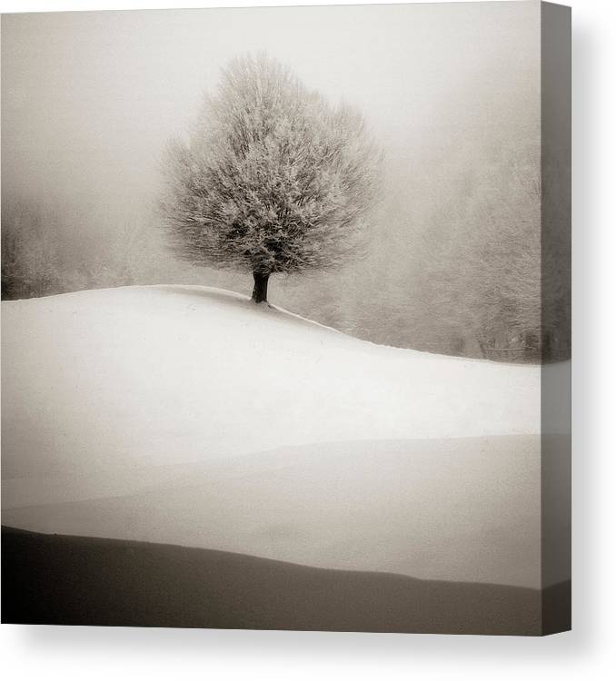 Winter degradee on square canvas