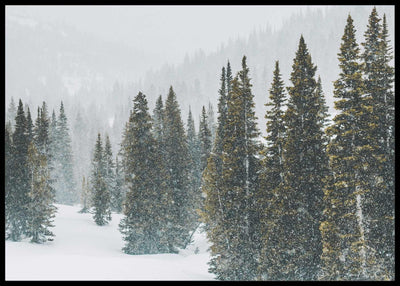 Winter Forest 01 - Poster - Plakatbar.no