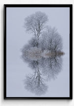 Winter stillness- poster - Plakatbar.no
