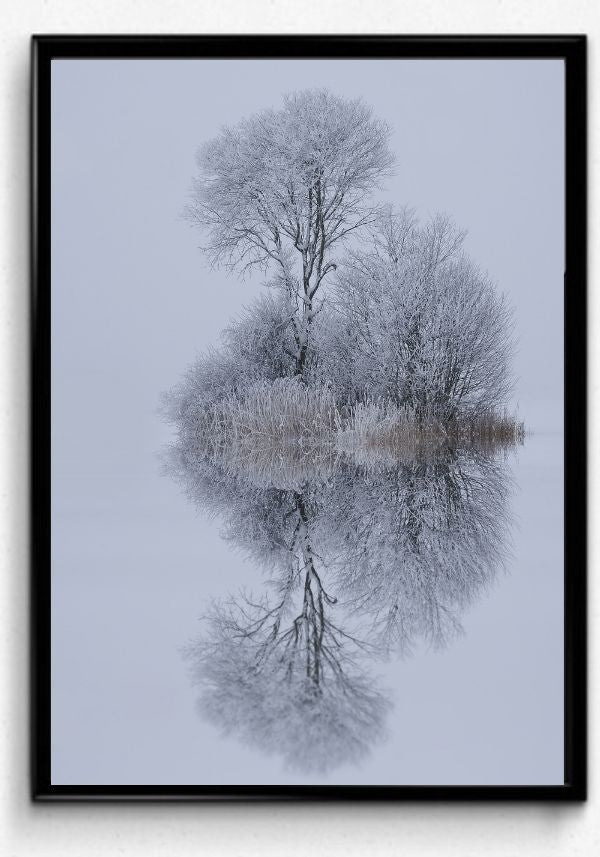Winter stillness- poster - Plakatbar.no