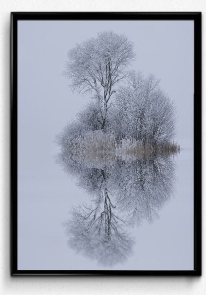 Winter stillness- poster - Plakatbar.no