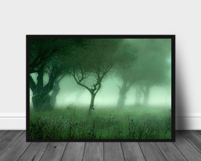 Wood an the mist poster - Plakatbar.no