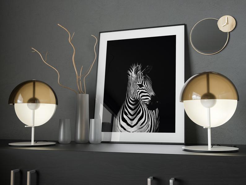 Zebra - sort bakgrunn - Plakat - Plakatbar.no